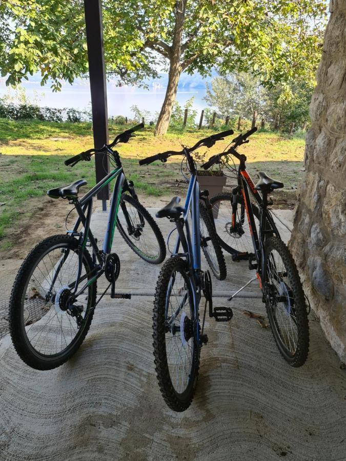 Kuca Za Odmor-Zelena Oaza Golubac Exterior foto