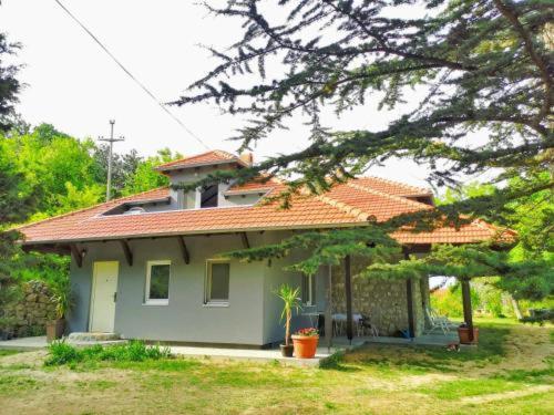 Kuca Za Odmor-Zelena Oaza Golubac Exterior foto