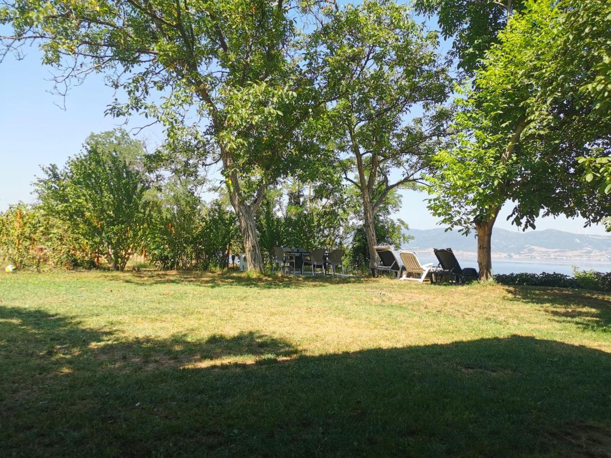 Kuca Za Odmor-Zelena Oaza Golubac Exterior foto