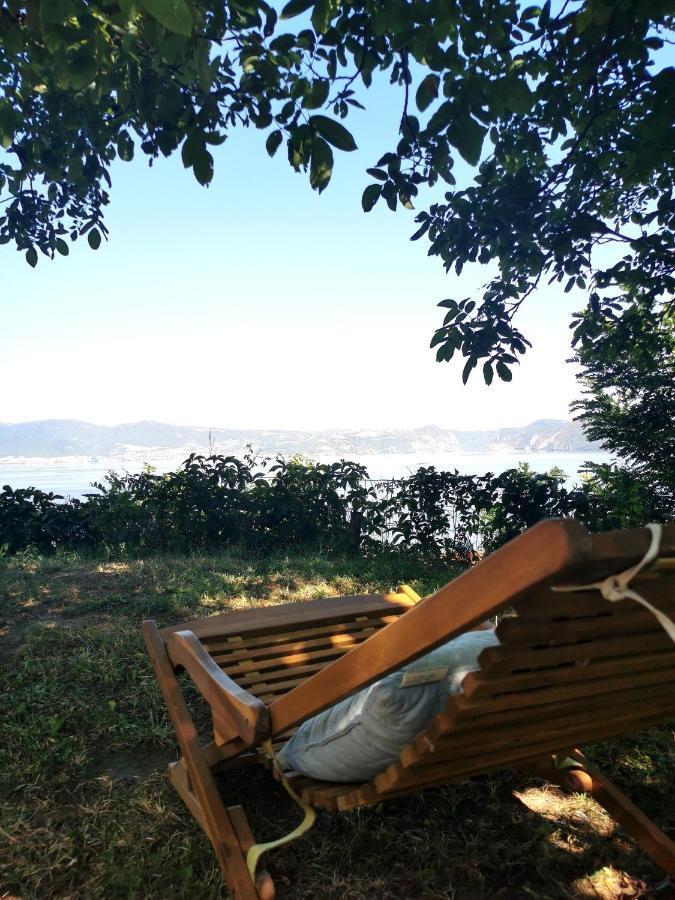 Kuca Za Odmor-Zelena Oaza Golubac Exterior foto
